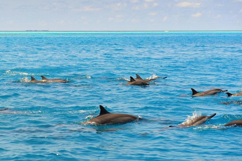 Maldives anh 2