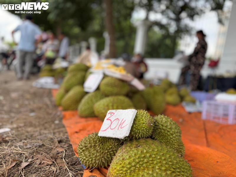 Sau rieng anh 4
