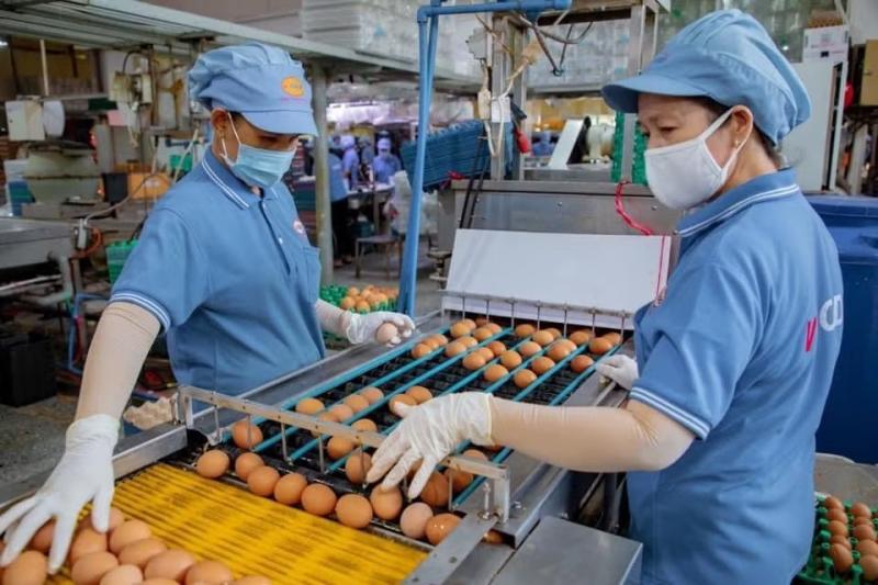 vay von ngan hang anh 1