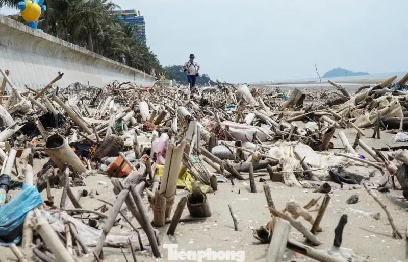 Thanh Hoa,  bai bien Hai Tien anh 2