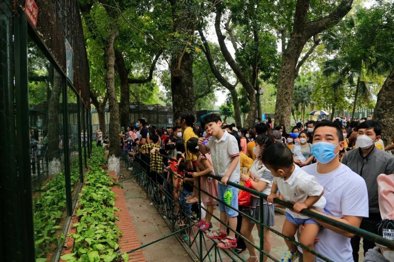 Vuon thu Ha Noi anh 1