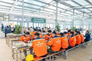 Vingroup mở đợt tuyển dụng quy mô lớn, cần hơn 20.000 người