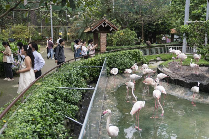 Thao Cam Vien anh 1