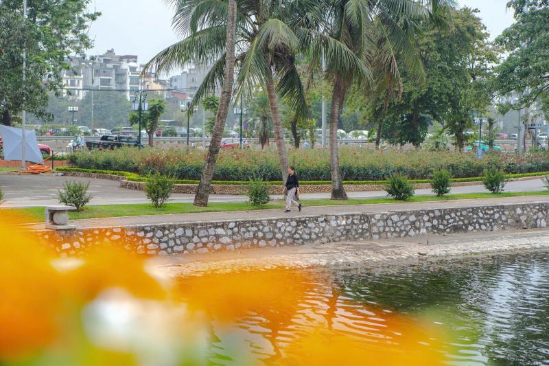 Công viên Thống Nhất, mèo ảnh 7 Cong vien Thong Nhat, meo anh 7