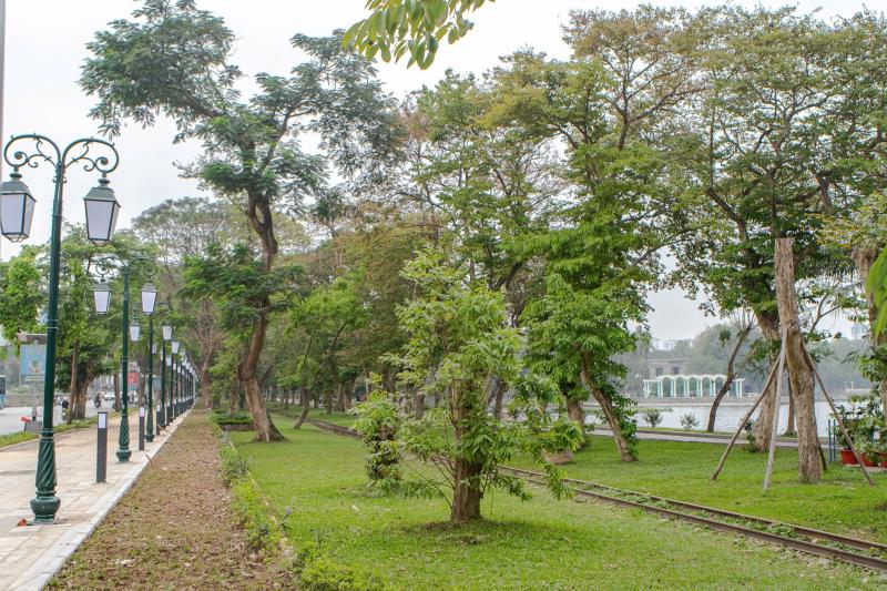 Công viên Thống Nhất, mèo ảnh 5 Cong vien Thong Nhat, meo anh 5