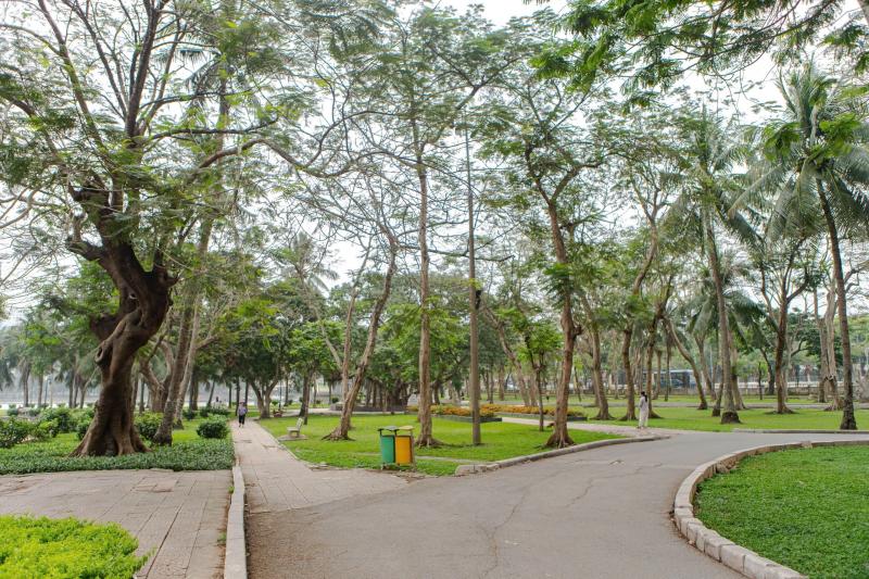 Công viên Thống Nhất, mèo ảnh 6 Cong vien Thong Nhat, meo anh 6