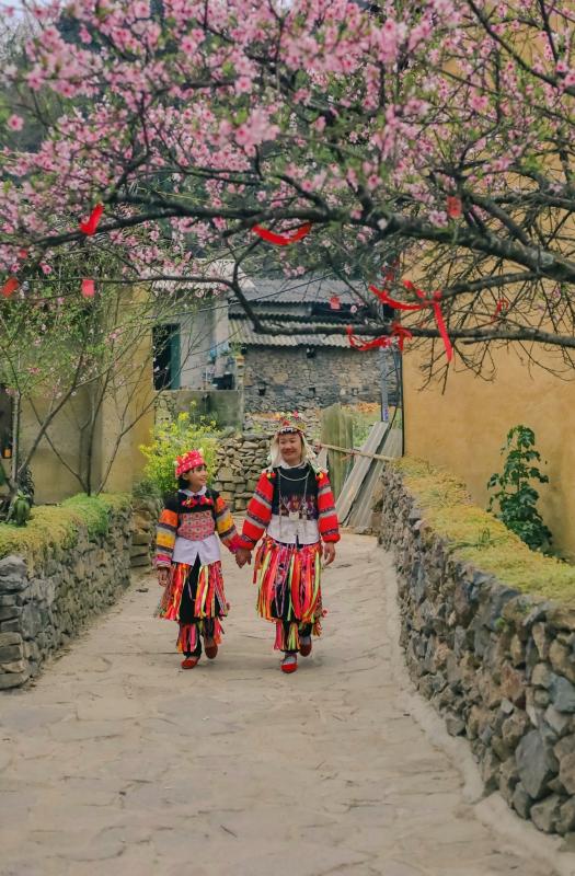 Lô Lô Chải ảnh 6 Lo Lo Chai anh 6