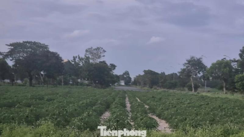 siêu đô thị ảnh 17