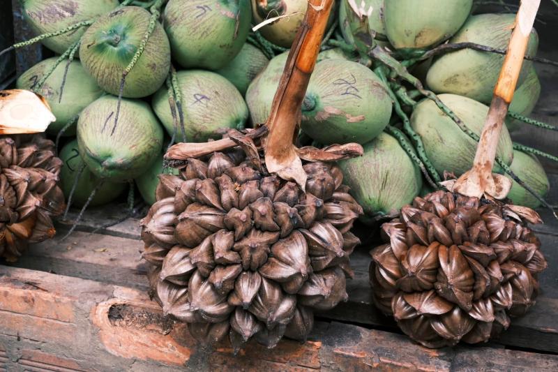 Đồng Tháp ảnh 9 Đồng Tháp ảnh 9