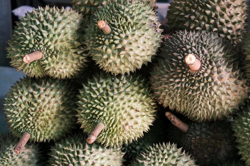 Đồng Tháp ảnh 10 Đồng Tháp ảnh 10
