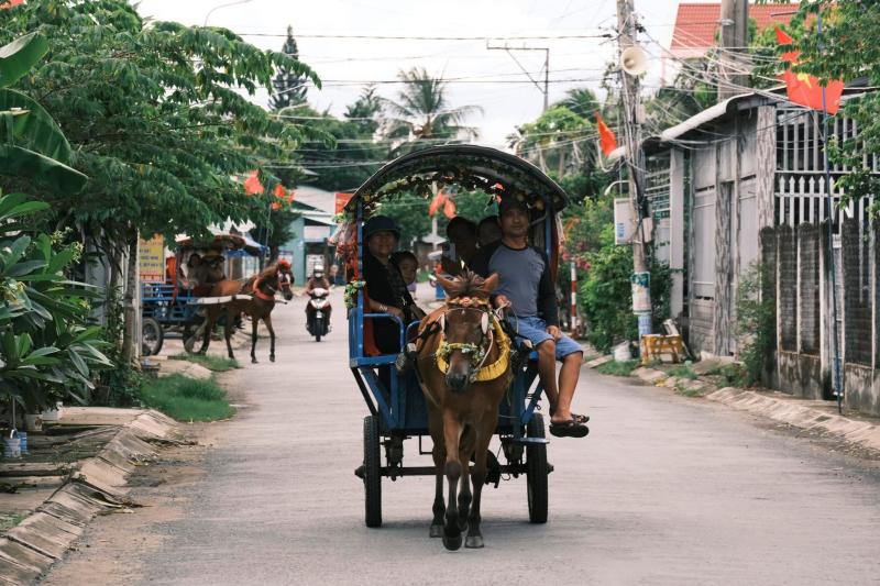 Đồng Tháp ảnh 14 Đồng Tháp ảnh 14