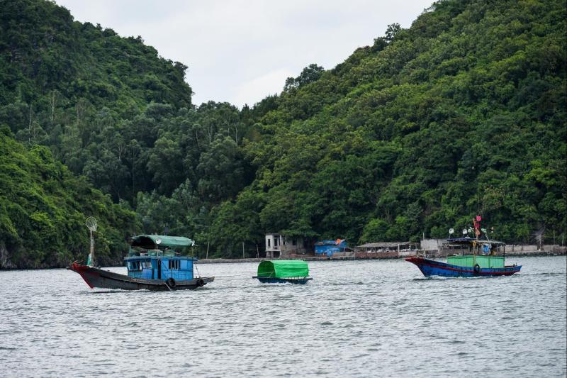dao,  Cat Ba anh 4
