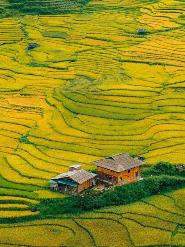 Sa Pa, khách Tây ảnh 6 Sa Pa, khách Tây ảnh 6