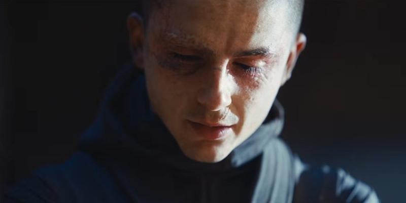Timothée Chalamet ảnh 2 Timothée Chalamet ảnh 2