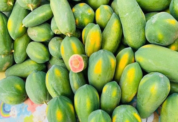 Loại quả ảnh 1 Loại quả ảnh 1