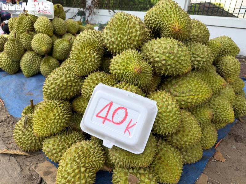 sầu riêng ảnh 1 sầu riêng ảnh 1