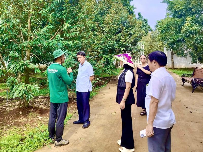 sầu riêng ảnh 5 sầu riêng ảnh 5
