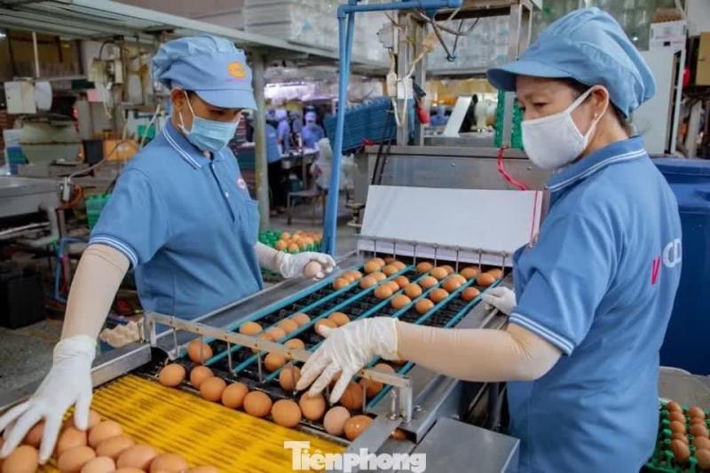 lãi vay ảnh 2 lãi vay ảnh 2