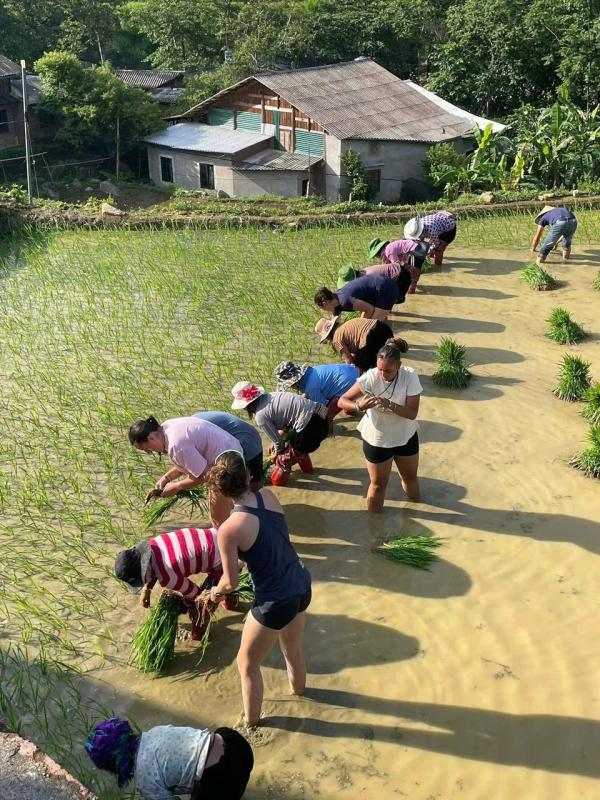 Sa Pa, khách Tây ảnh 1 Sa Pa, khách Tây ảnh 1