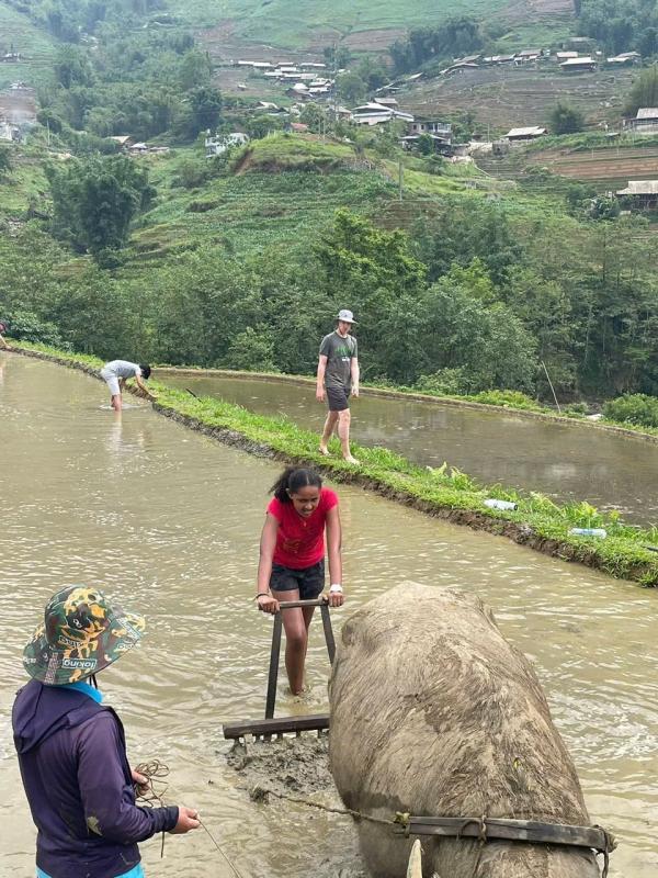 Sa Pa, khách Tây ảnh 2 Sa Pa, khách Tây ảnh 2