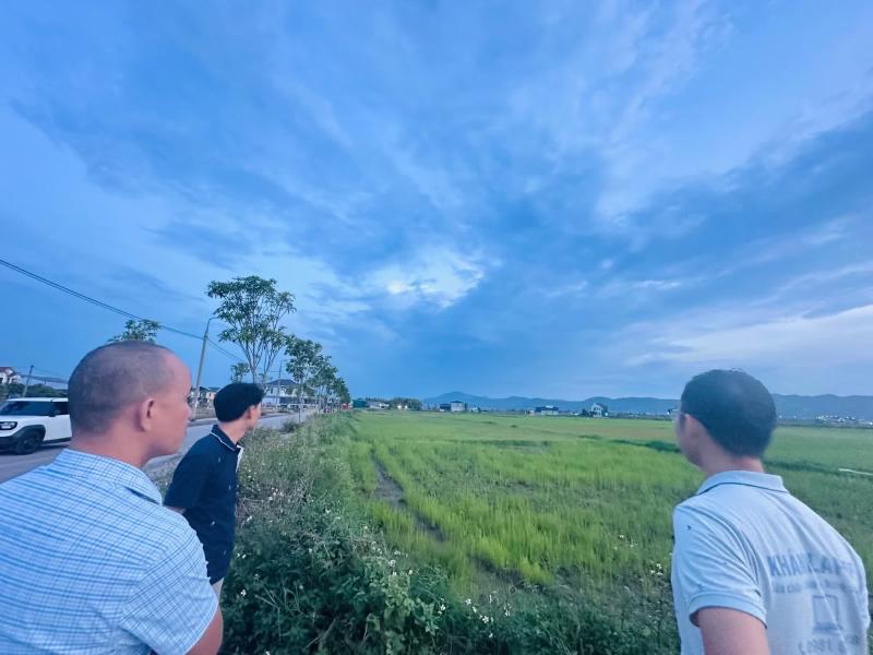 đấu giá ảnh 2