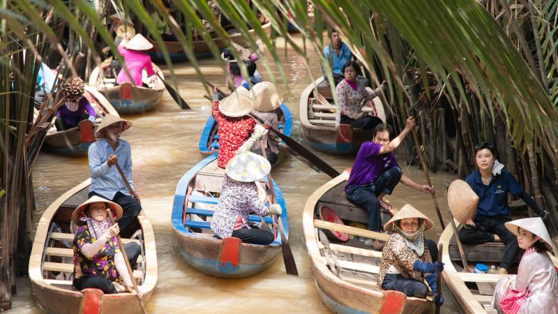 Cồn Thới Sơn ảnh 19 Cồn Thới Sơn ảnh 19