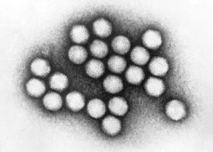 12 trẻ nhập viện vì Adenovirus, phụ huynh cần lưu ý dấu hiệu này