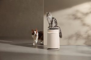 Cục diện ngành robot hút bụi thay đổi
