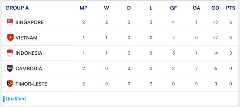 Singapore ASEAN Cup Việt Nam ảnh 2