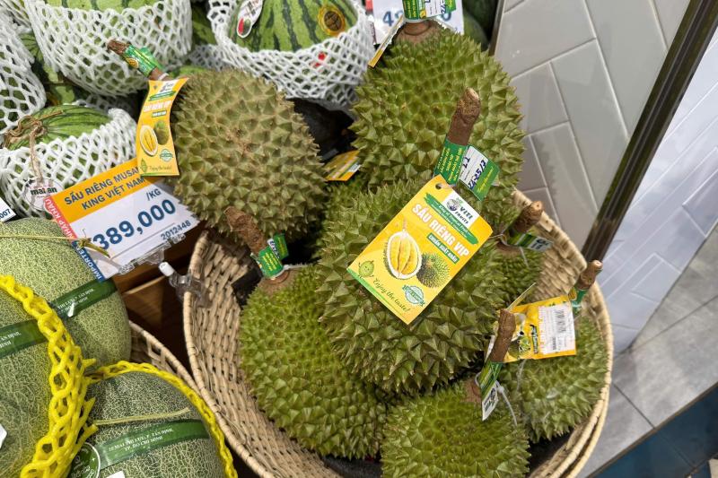 sầu riêng ảnh 1 sầu riêng ảnh 1