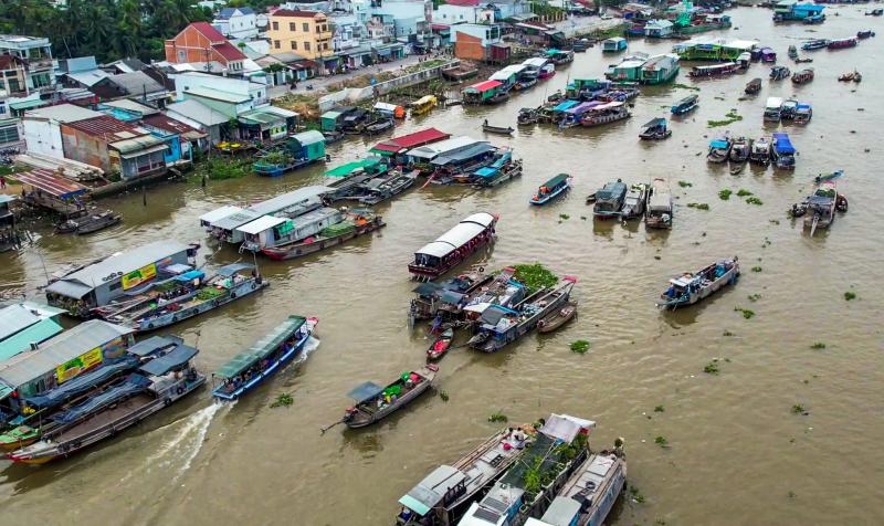 vỏ lãi ảnh 3 vỏ lãi ảnh 3