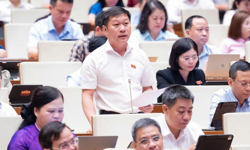 ngân hàng  ảnh 2