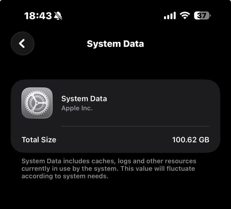 iPhone ảnh 4 iPhone ảnh 4