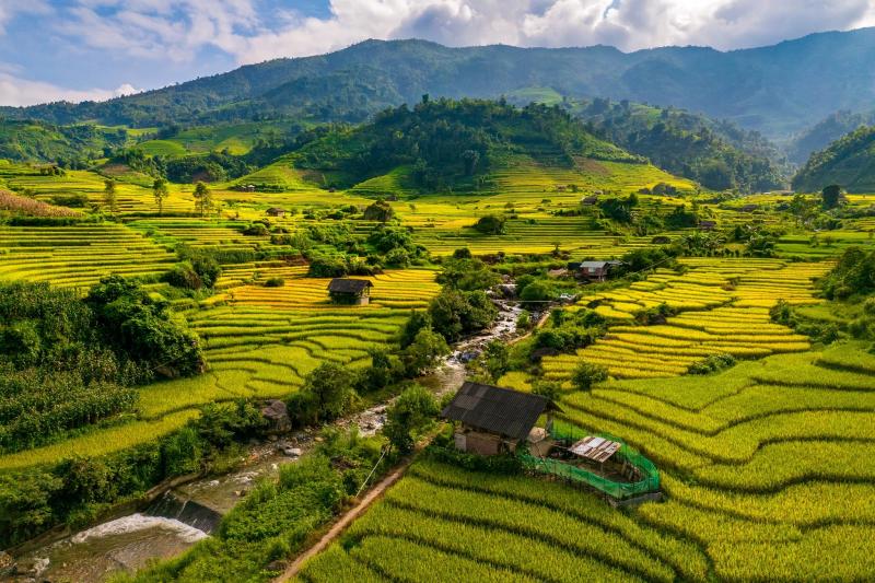 Nậm Cang ảnh 10 Nậm Cang ảnh 10