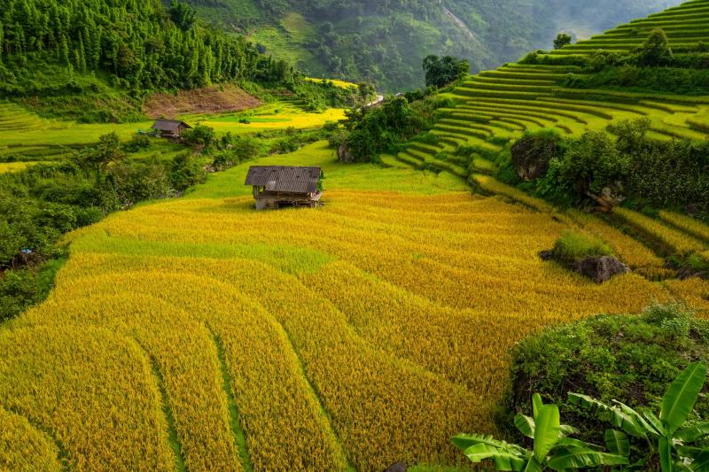 Nậm Cang ảnh 7 Nậm Cang ảnh 7