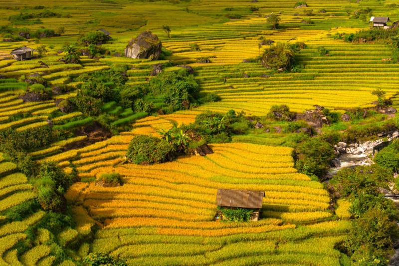Nậm Cang ảnh 13 Nậm Cang ảnh 13