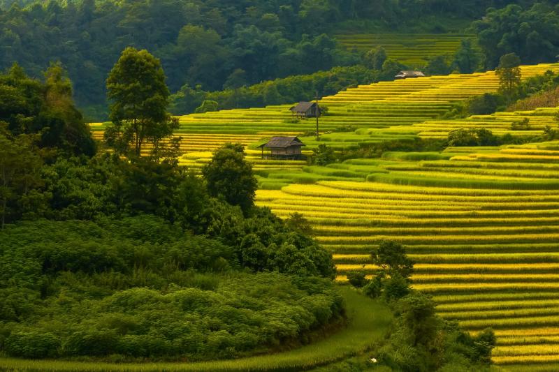 Nậm Cang ảnh 1 Nậm Cang ảnh 1