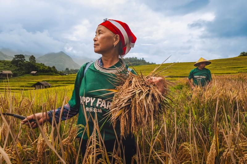 Nậm Cang ảnh 6 Nậm Cang ảnh 6