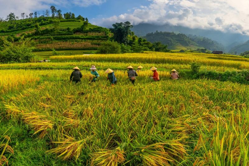 Nậm Cang ảnh 2 Nậm Cang ảnh 2