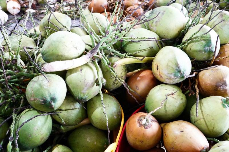 sầu riêng Việt Nam  ảnh 1