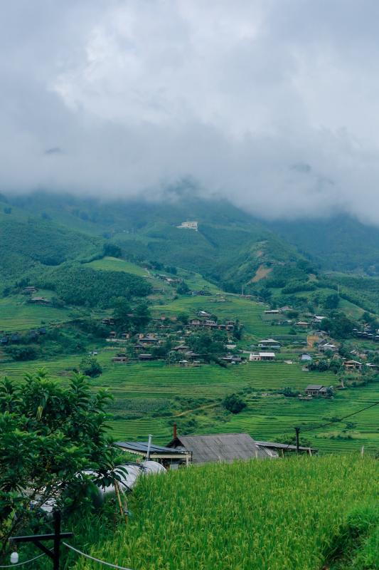 mùa lúa xanh,  Tả Van ảnh 8