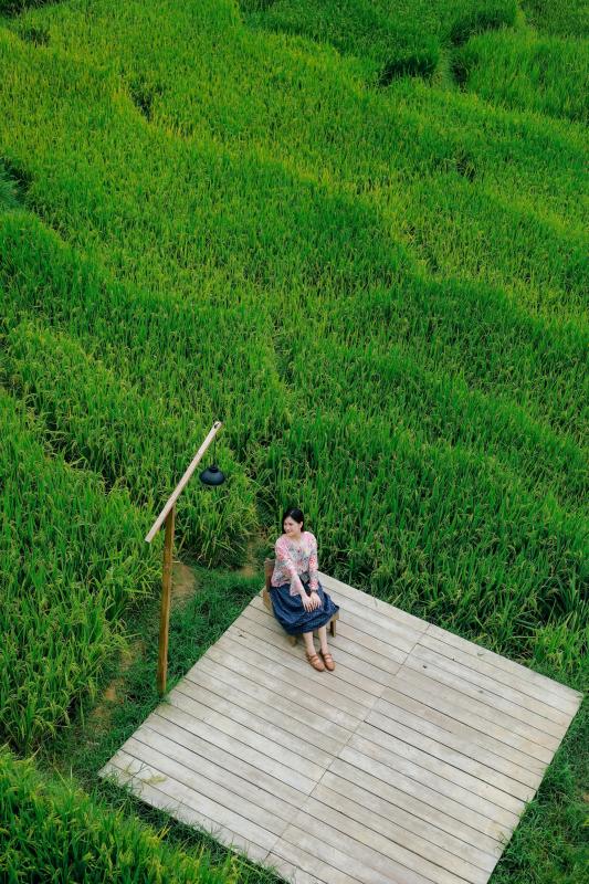 mùa lúa xanh,  Tả Van ảnh 21