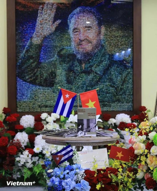 Việt Nam-Cuba ảnh 4