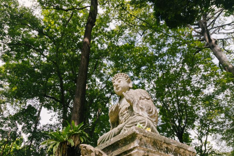 Dinh thự Pháp ảnh 12