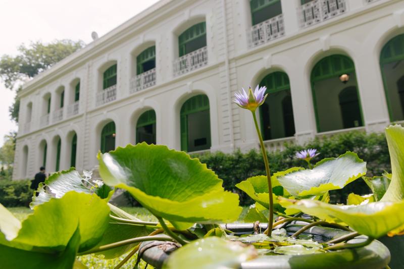 Dinh thự Pháp ảnh 1