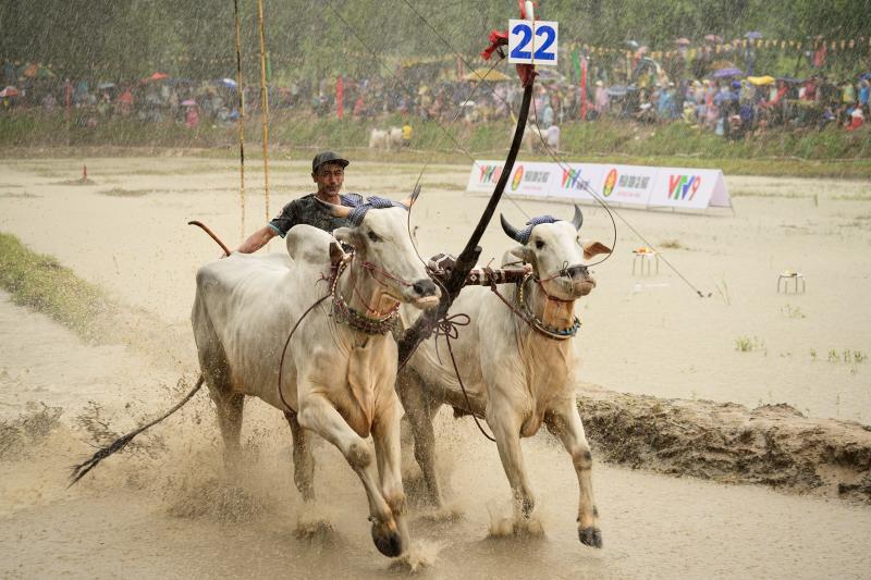 Chùa rô ảnh 5 Chùa rô ảnh 5