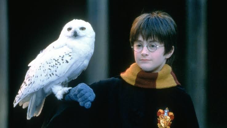 Harry Potter ảnh 2 Harry Potter ảnh 2