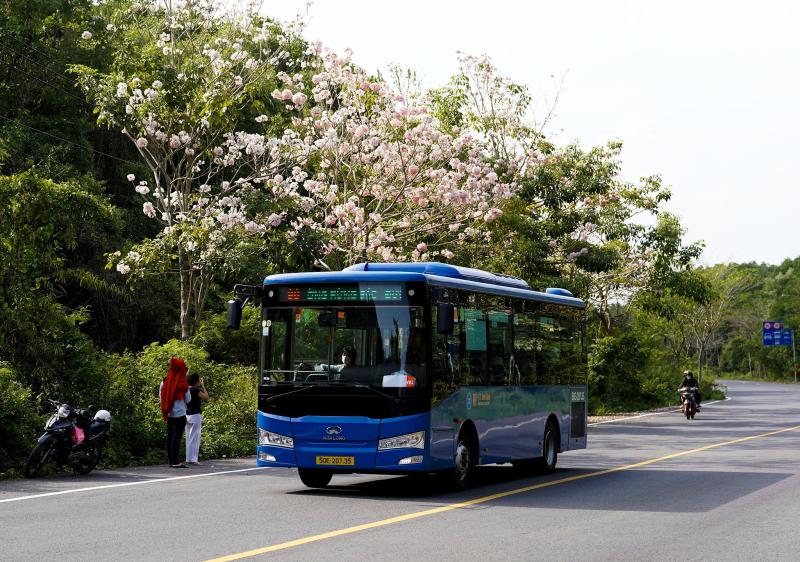 nút giao rừng sác ảnh 14