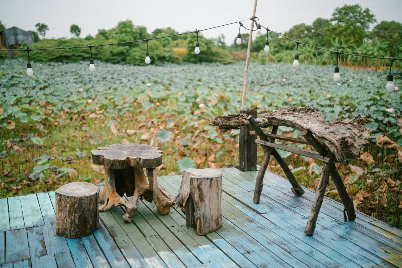 Huỳnh Lập ảnh 12 Huỳnh Lập ảnh 12