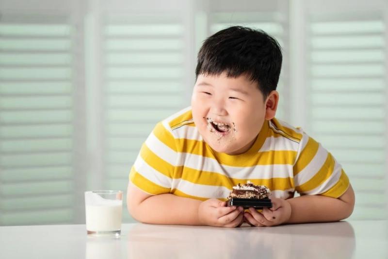 Trẻ béo phì ảnh 1 Trẻ béo phì ảnh 1